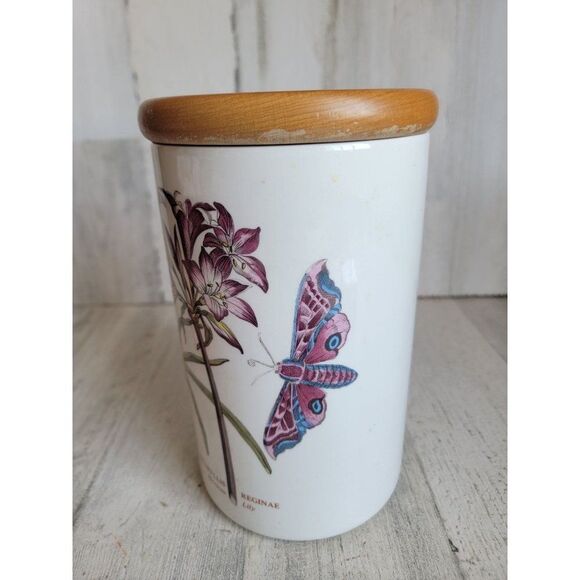 Botanic garden Amaryllis Reginae Mexican Lily large jar - Picture 3 of 12